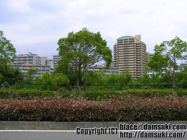 ʿ18ǯ716  1225ʬ